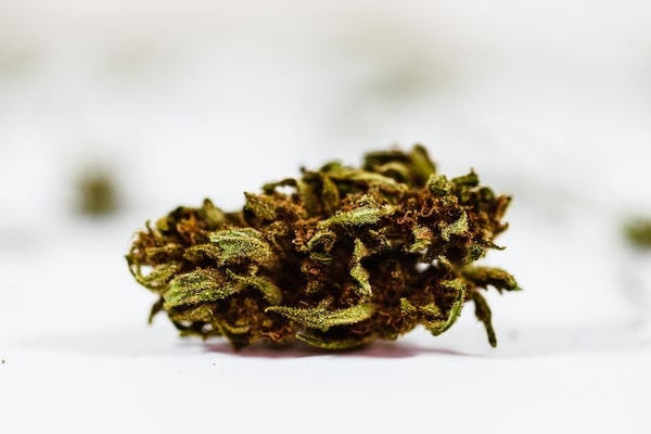 Small buds CBD