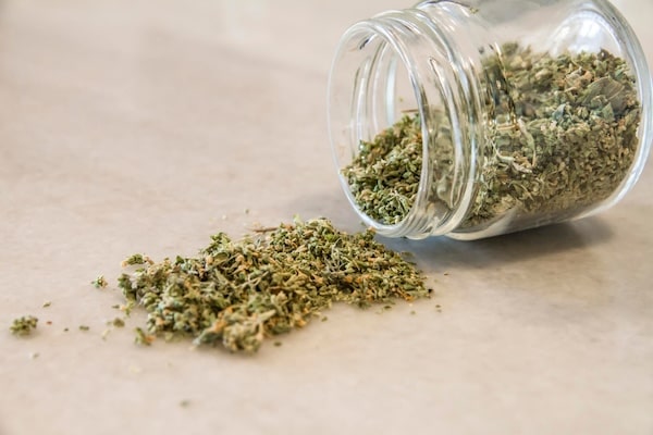 Trim de CBD