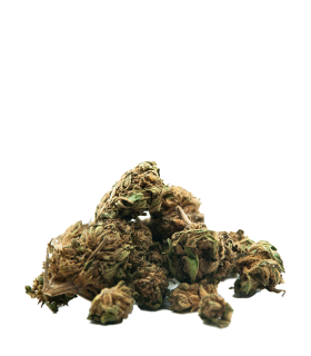 Cannatonic Small bud