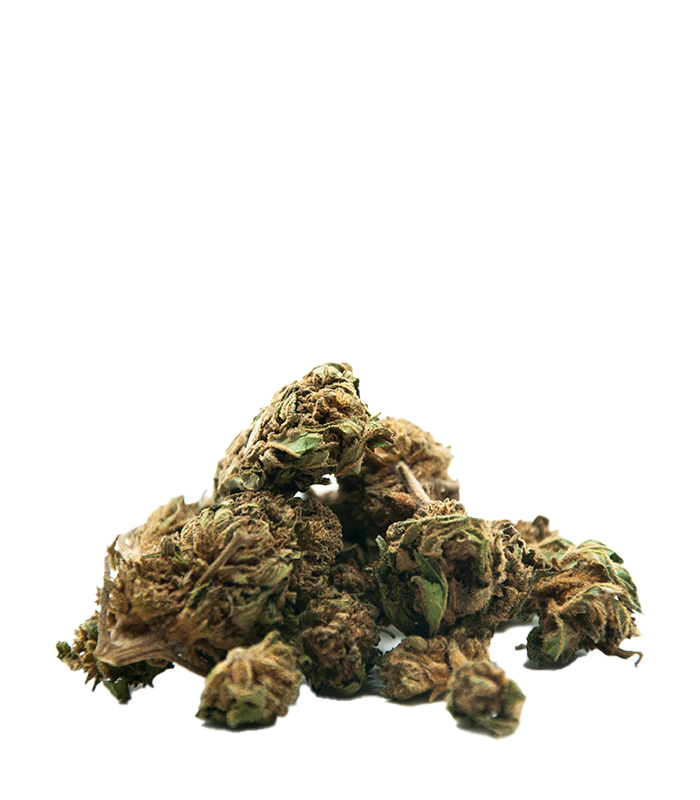 Cannatonic Small bud