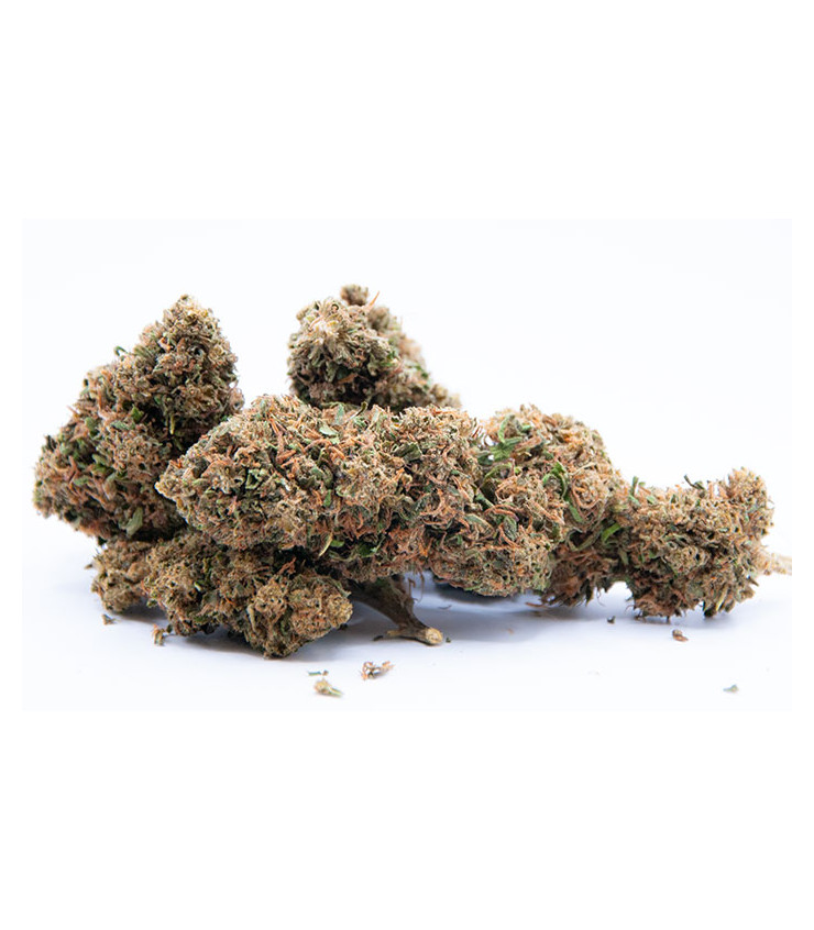 Orange Bud CBD