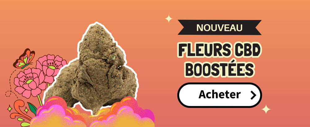 vente fleur cbd puissante toulouse